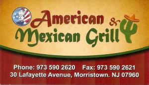ammexgrill-300x171