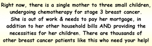Pink Fund blurb for blog