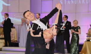 Types Of Dance 26 Waltz - Memorial Day Date Ideas